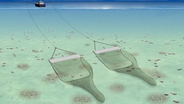 Trawling net -  netting supplier in fishing, sports and agriculture  from China