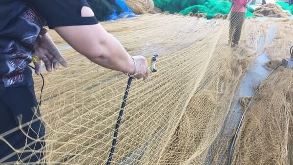 Bird net -  netting supplier in fishing, sports and agriculture from  China